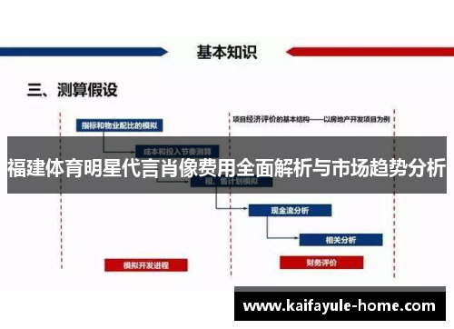 福建体育明星代言肖像费用全面解析与市场趋势分析