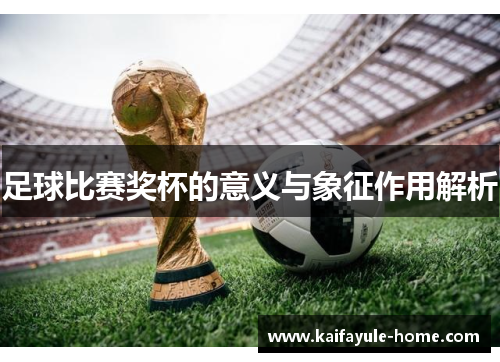 足球比赛奖杯的意义与象征作用解析